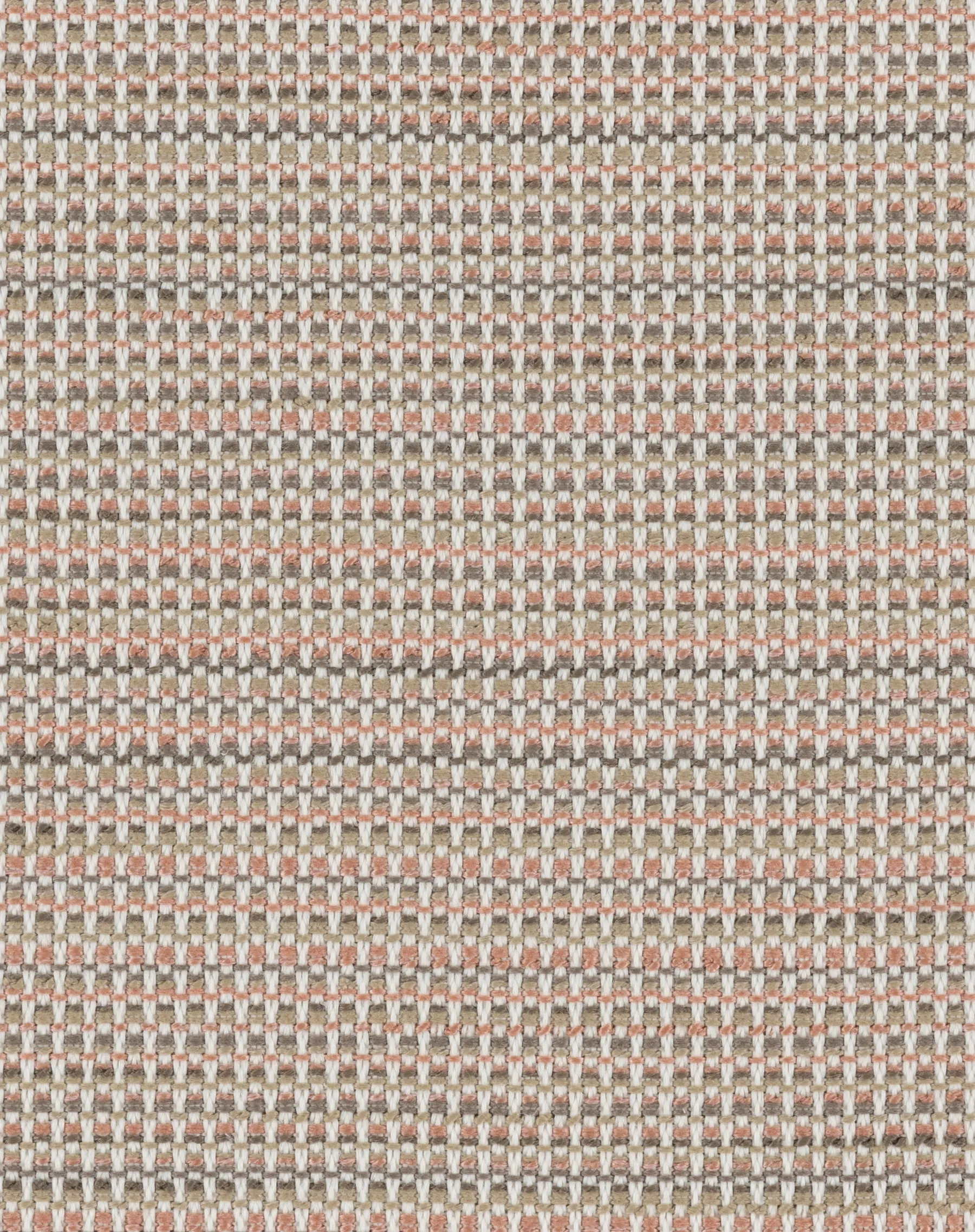 PETAL